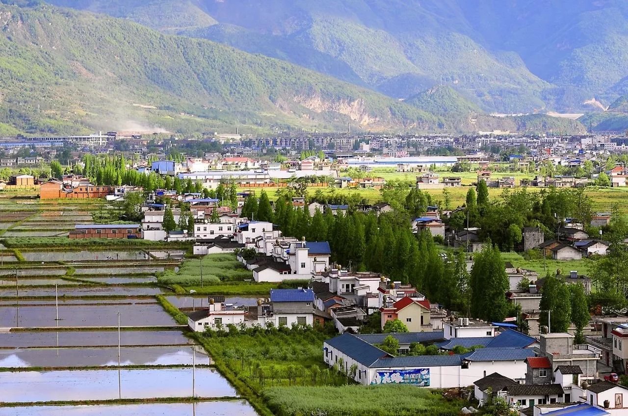 大力实施乡村振兴战略