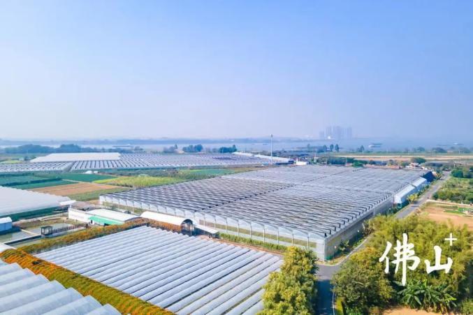 三水推动都市农业高质量发