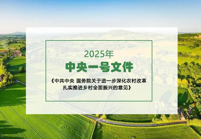 2025年中央一号文件《关于进