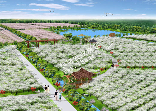 中石化句容陈武农场规划