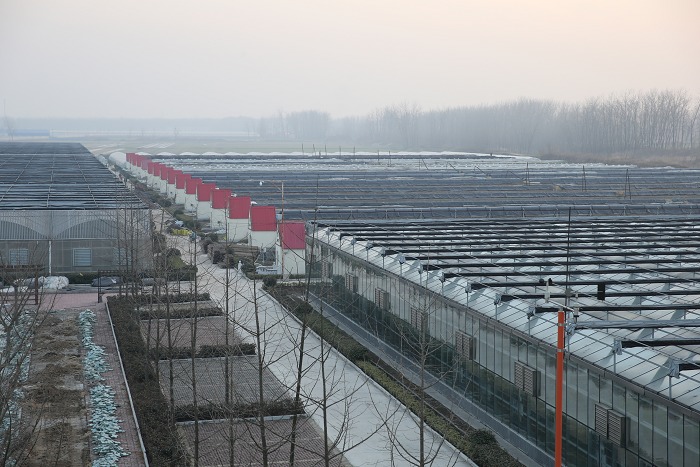 江苏省邳州市新河现代农业产业园