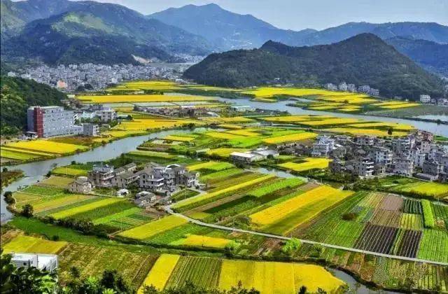 “十五五”农业农村发展规划