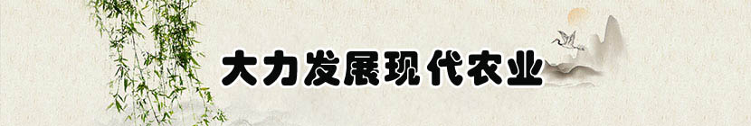 下载详情底部广告位