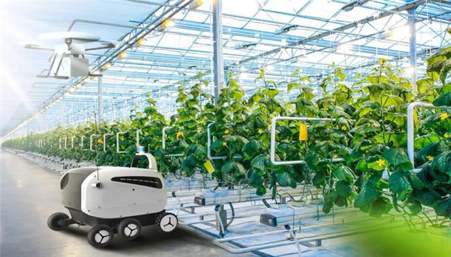 农业科技创新与产业创新融合发展相关问题研究