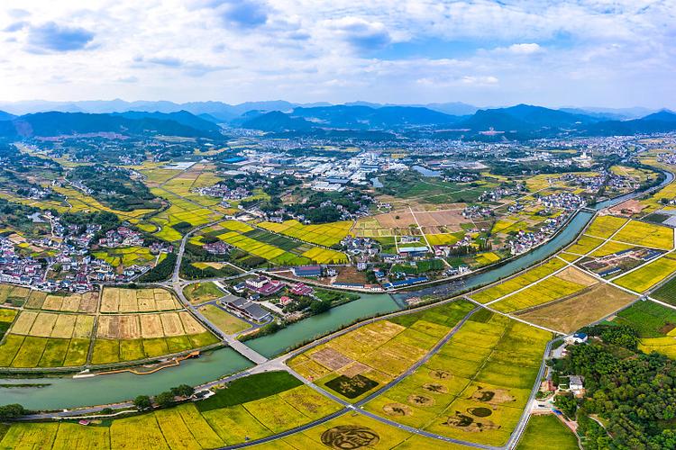 农文旅交响曲：乡村振兴的生态、产业与文化三重奏