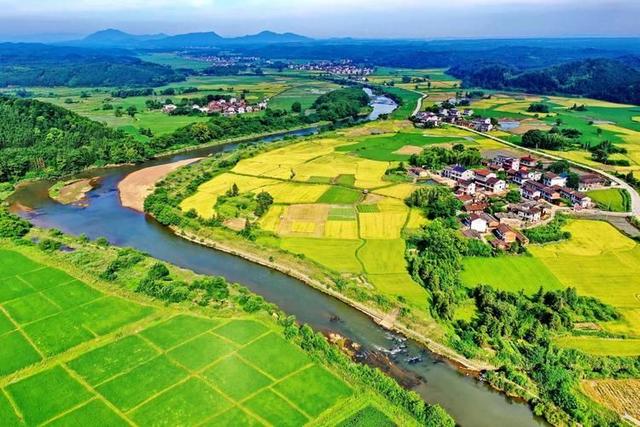 农业产业投资的类型选择与组合策略