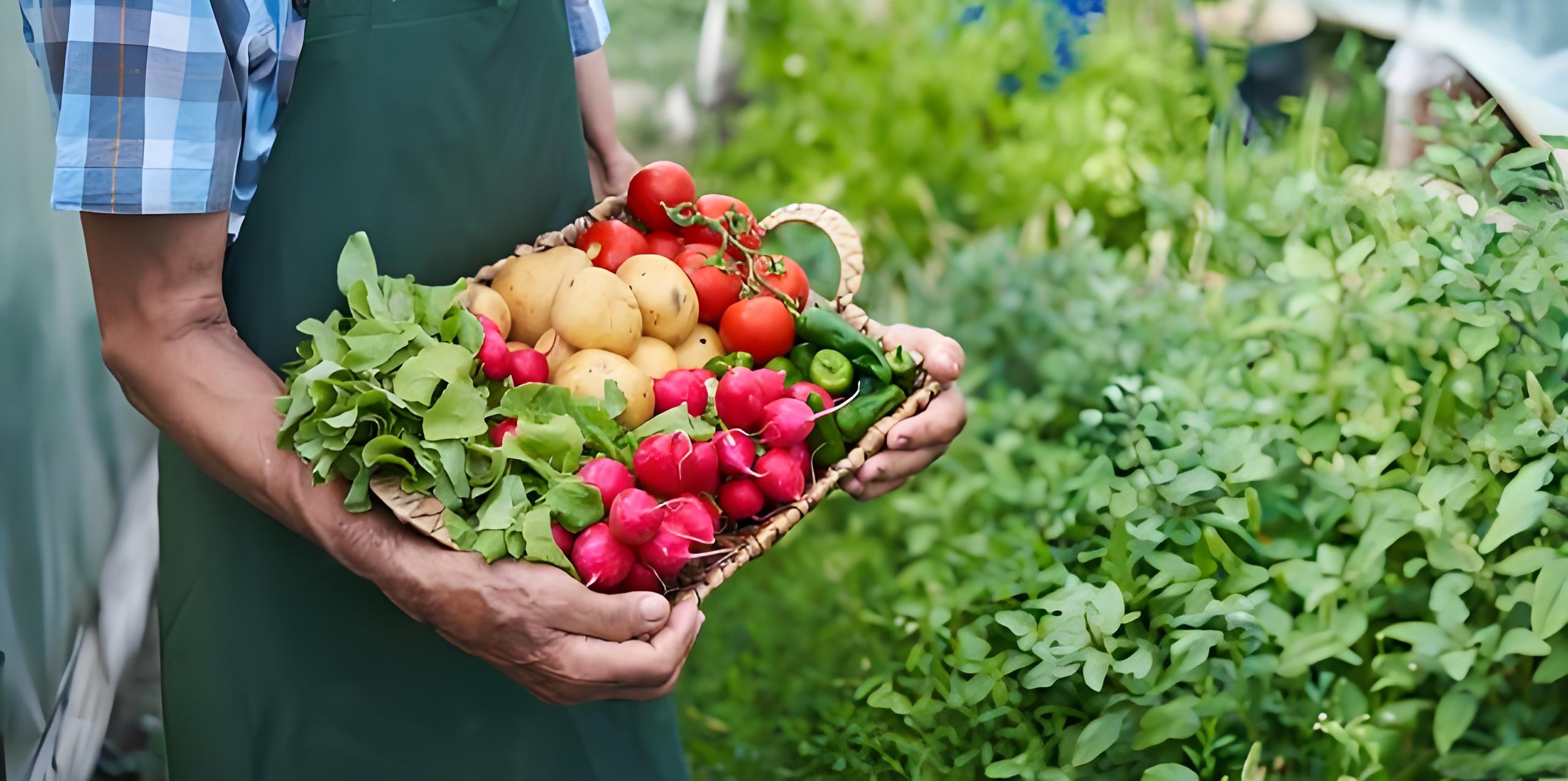 舌尖上的供给侧改革:《促进农产品消费实施方案》的深度解读