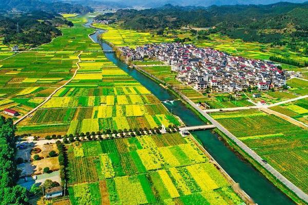 “十五五”农业破局：政府搭台+市场唱戏，双轮驱动！中国农业的下一个黄金五年