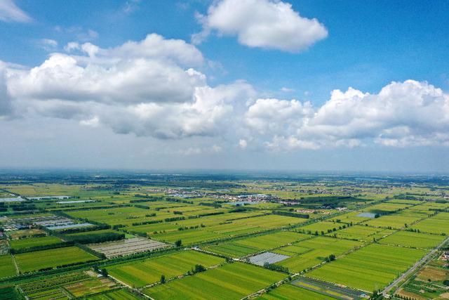 农业强县密码：集群化引领、园区化承载、项目化推进—解锁农业现代化新动能