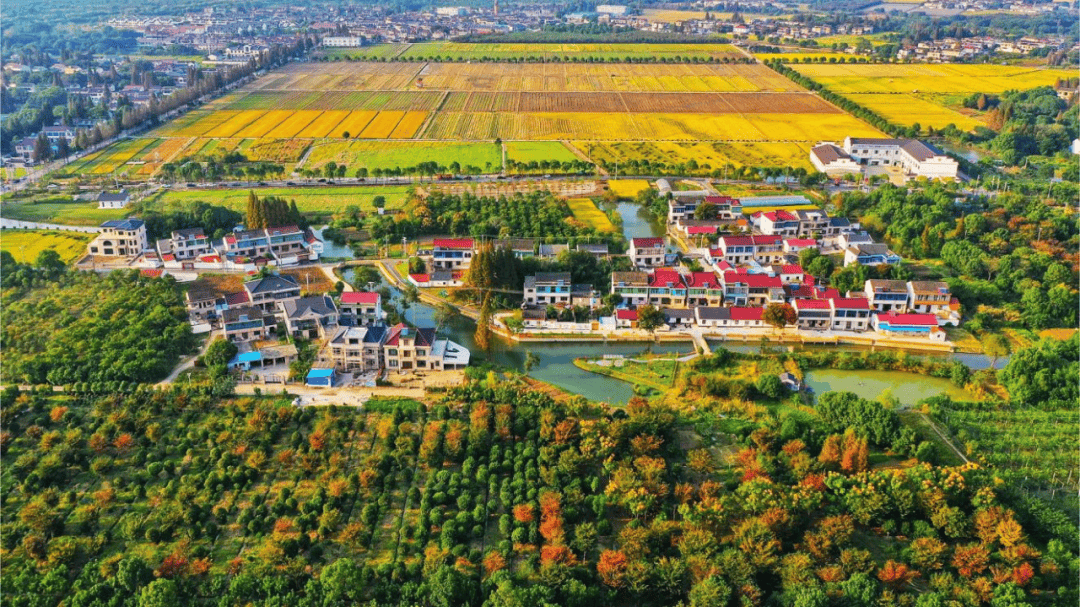 宜居宜业和美乡村新样板：江苏如何打造乡村振兴“江苏范”？