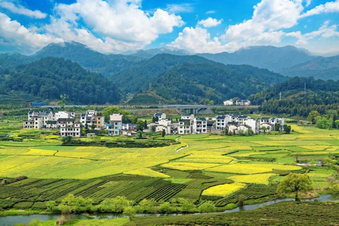 “十四五”时期，农业农村高质量发展成就显著