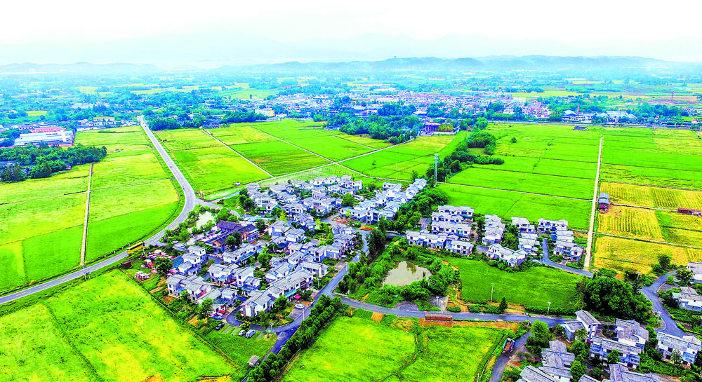 片区联动×整村运营：乡村振兴跳出“一村孤岛”的新范式