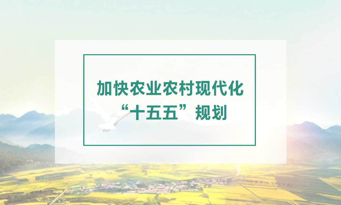 国务院关于印发《加快农业农村现代化  “十五五”规划》的通知