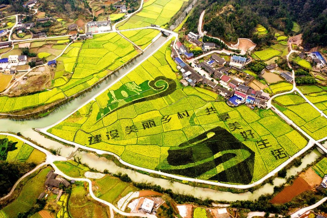 乡村振兴“下半场”：从“面子”到“里子”，我们如何